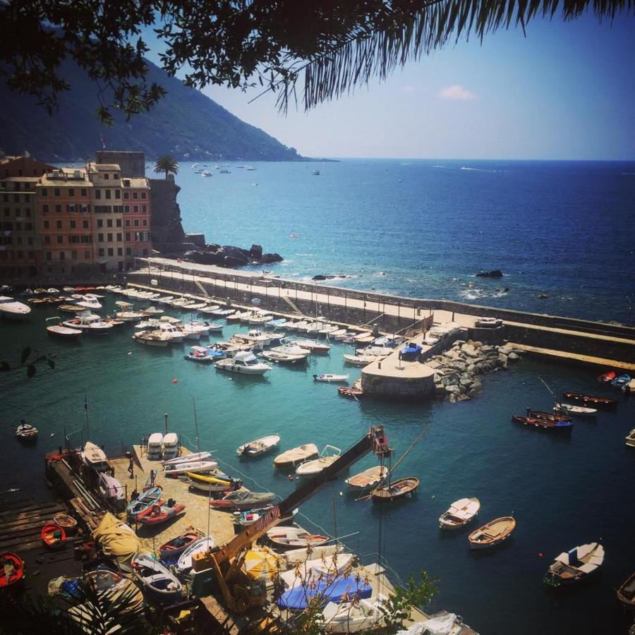 La Casa Della Fiore Camogli Eksteriør billede