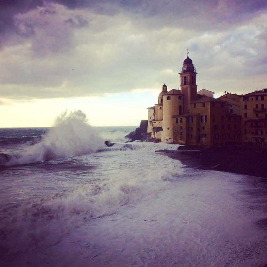 La Casa Della Fiore Camogli Eksteriør billede