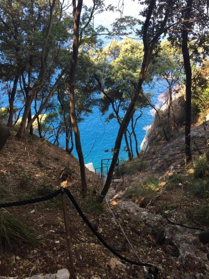 La Casa Della Fiore Camogli Eksteriør billede